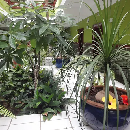 Balneario Pozo De La Salud Hotel 3*